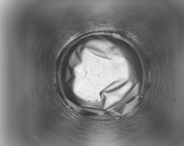 X0000057081165200510010152