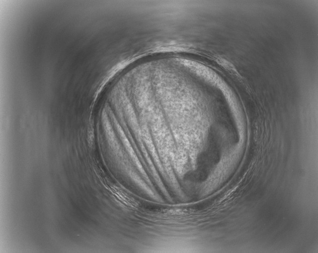 X0000057081167200510010152