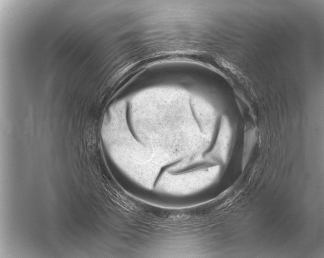 X0000057081169200510010152