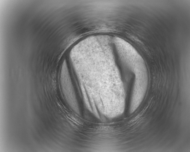 X0000057081170200510010152