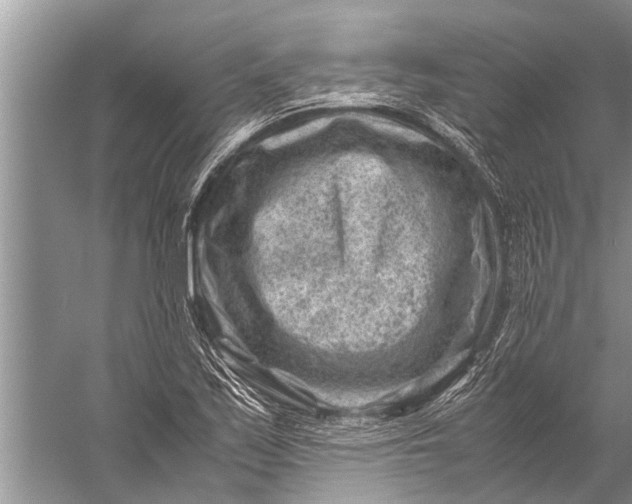 X0000057081171200510010152