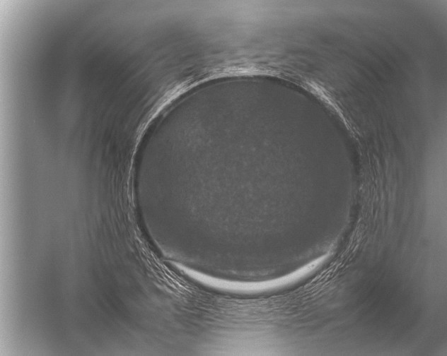 X0000057081173200510010152