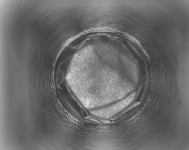 X0000057081176200510010152