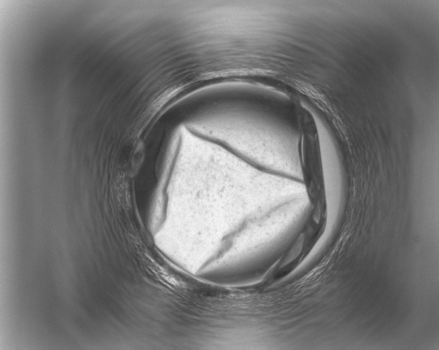 X0000057081177200510010152