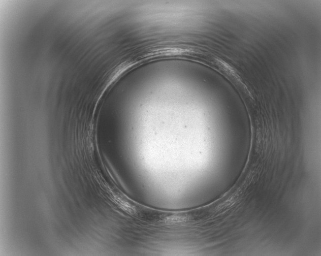 X0000057081178200510010152