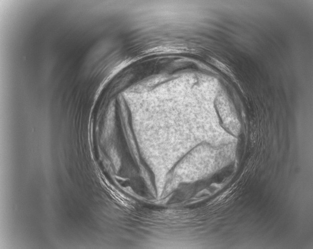 X0000057081179200510010152