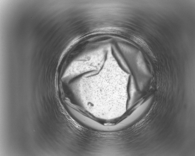 X0000057081180200510010152