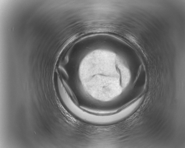 X0000057081181200510010152