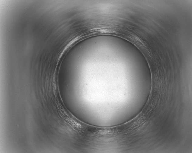 X0000057081182200510010152