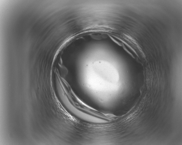 X0000057081188200510010151