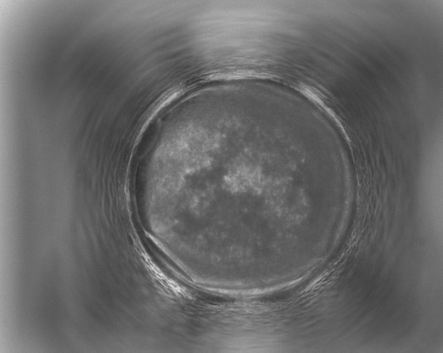 X0000057081189200510010151