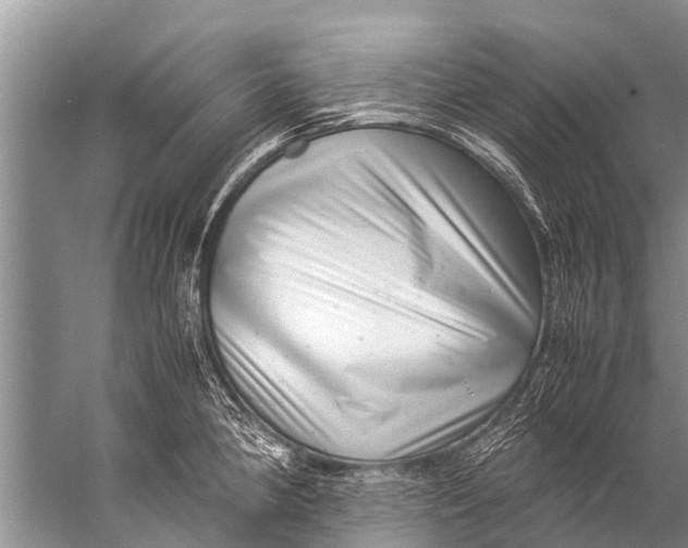 X0000057081190200510010151