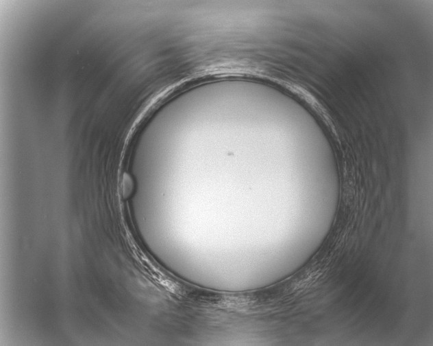 X0000057081191200510010151