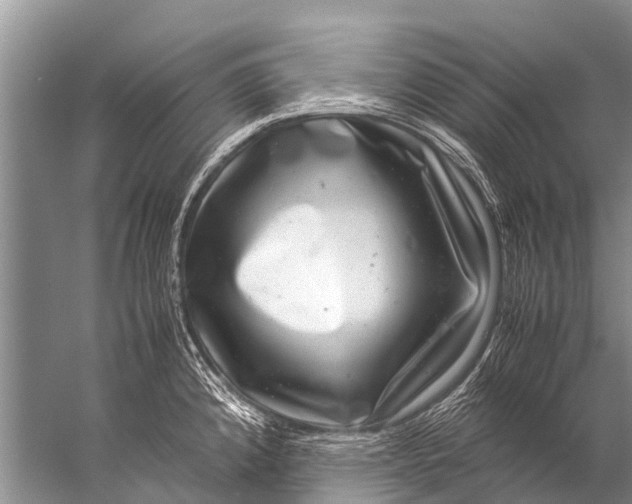 X0000057081192200510010151