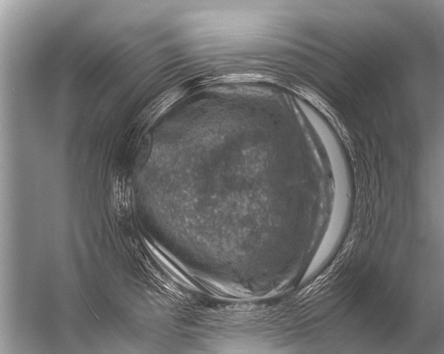 X0000057081193200510010151