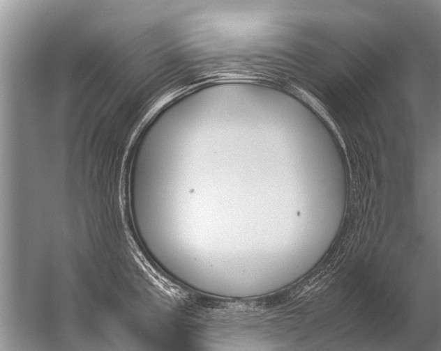 X0000057081195200510010151