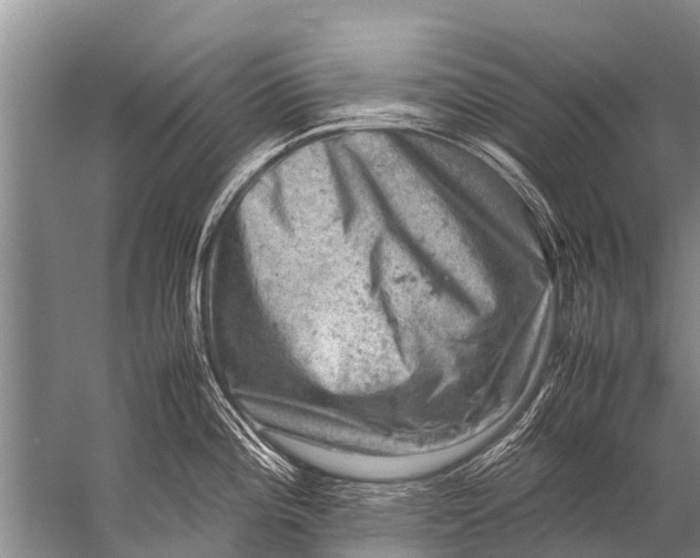 X0000057081196200510010151