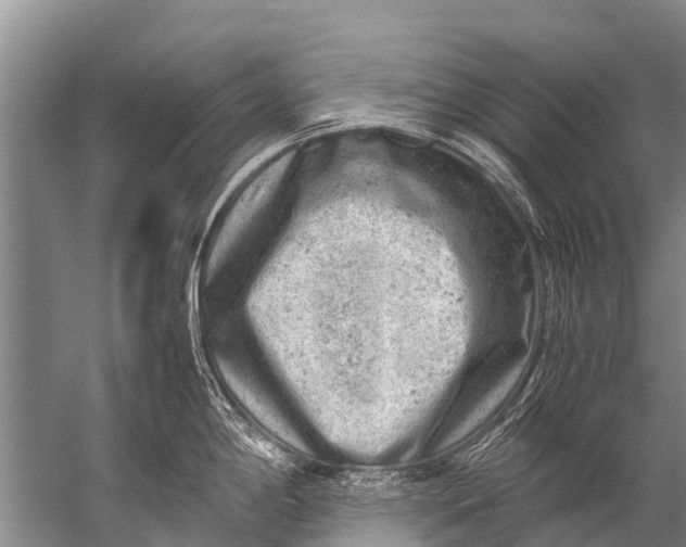 X0000057081198200510010151