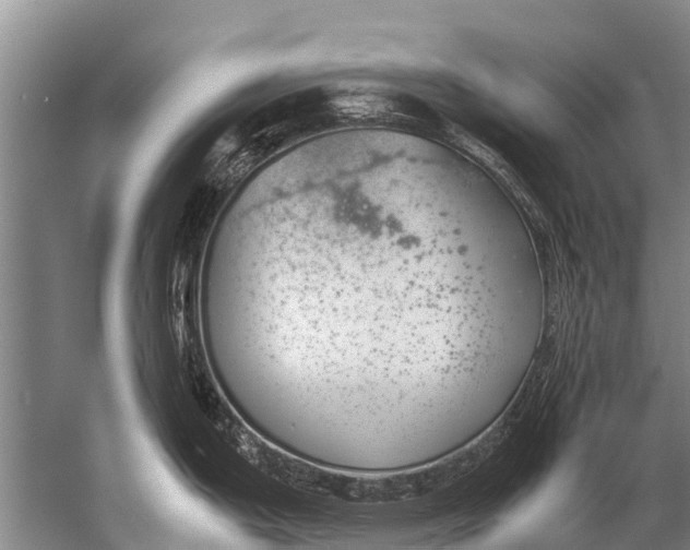 X0000057081199200510010151