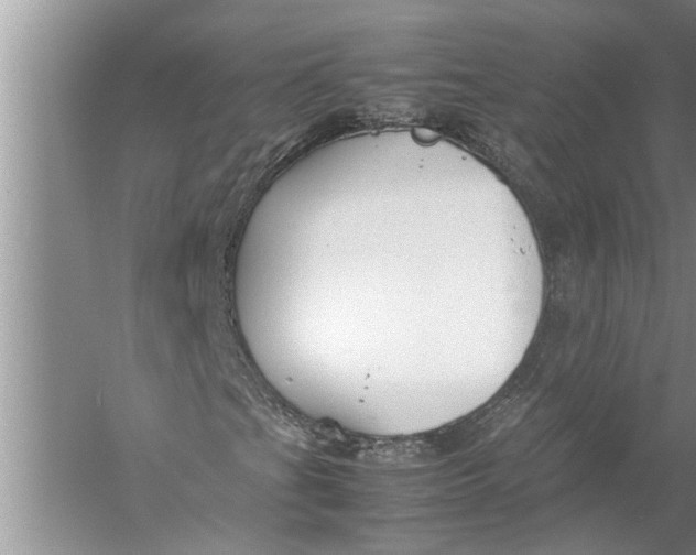 X0000057081201200510010150