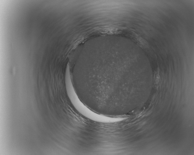 X0000057081202200510010150