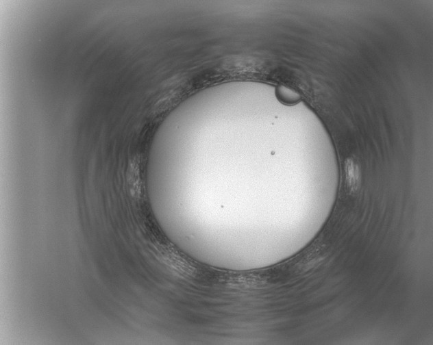 X0000057081203200510010150