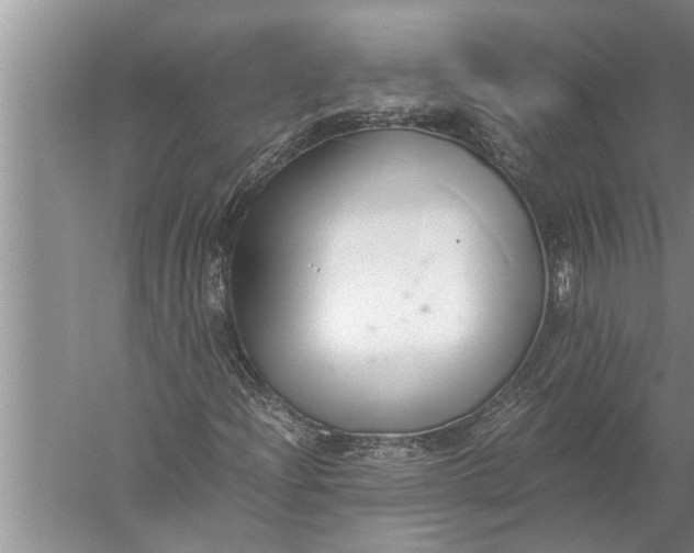 X0000057081204200510010150