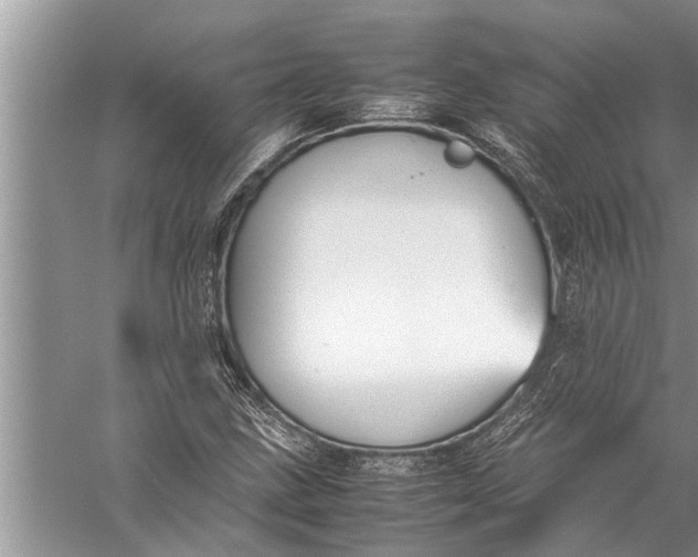 X0000057081211200510010151