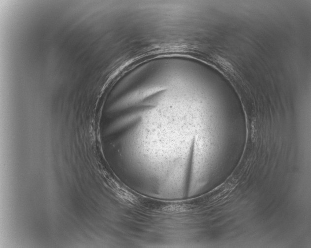 X0000057081212200510010151