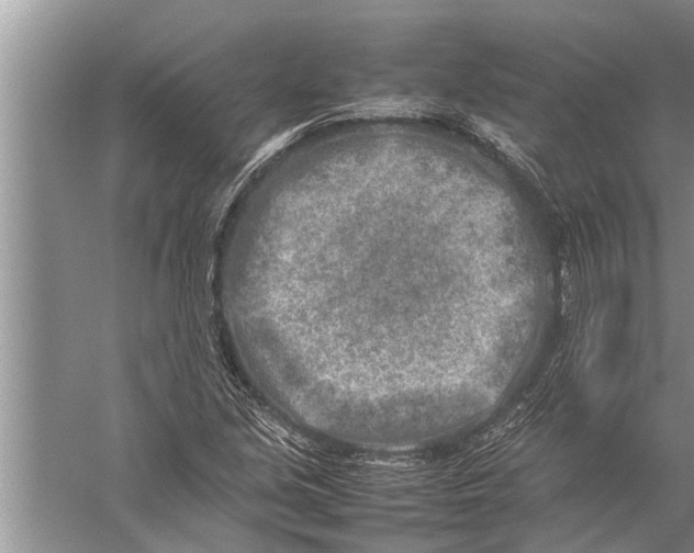 X0000057081213200510010151