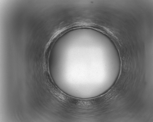 X0000057081215200510010151