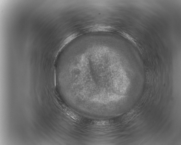 X0000057081219200510010151