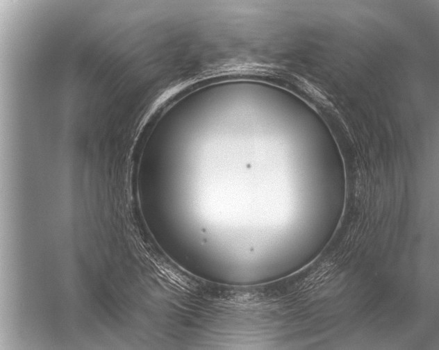 X0000057081222200510010151