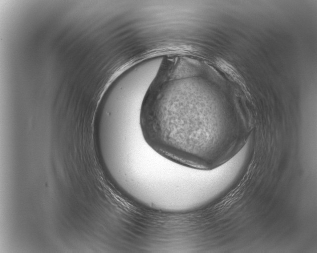 X0000057081226200510010151