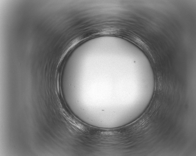 X0000057081227200510010151