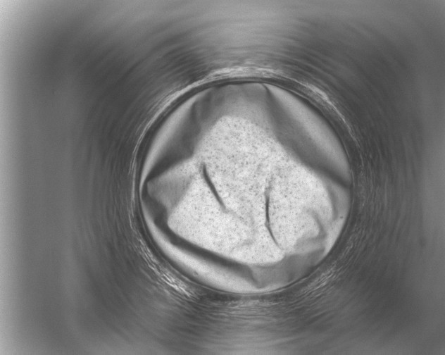 X0000057081228200510010151