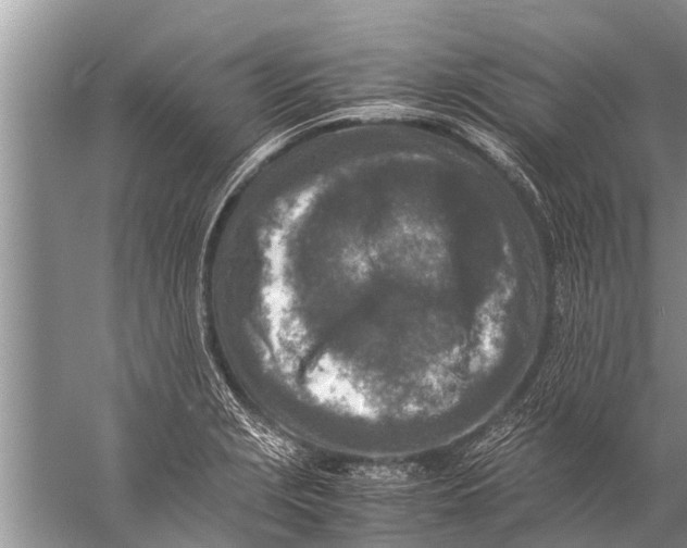 X0000057081229200510010151