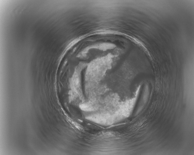 X0000057081231200510010151