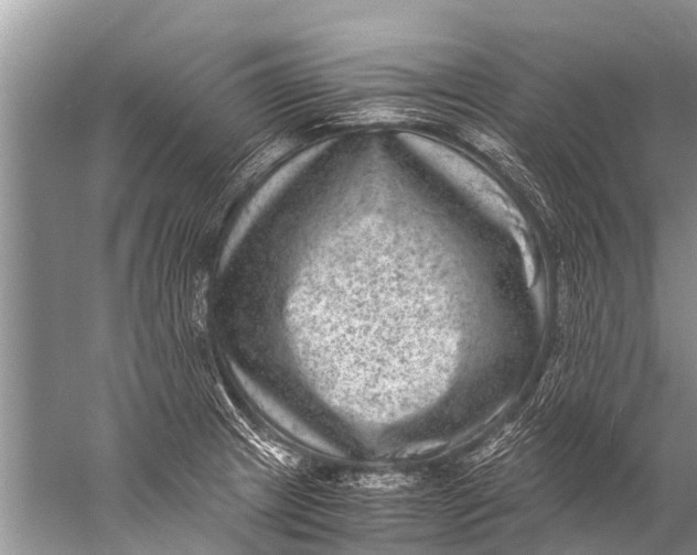 X0000057081233200510010151