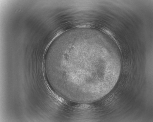 X0000057081235200510010151