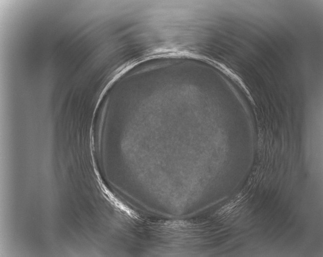 X0000057081239200510010151