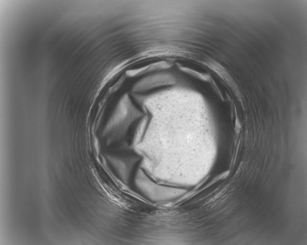 X0000057081242200510010151