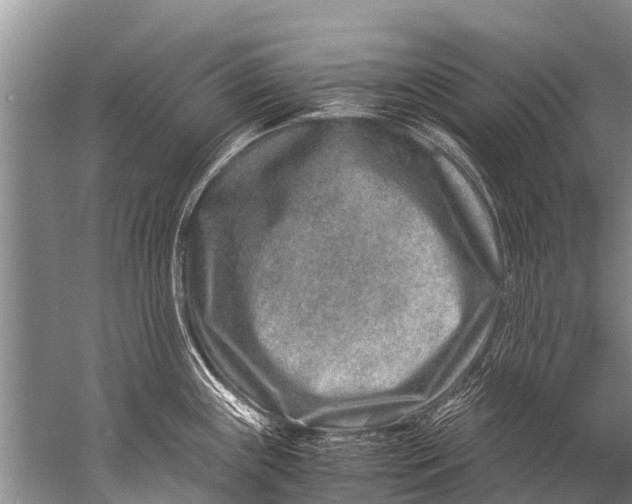 X0000057081243200510010151