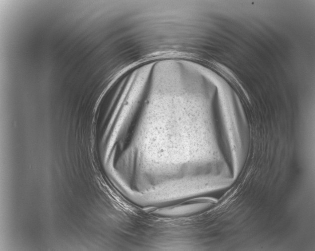 X0000057081244200510010151