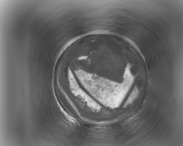 X0000057081245200510010151