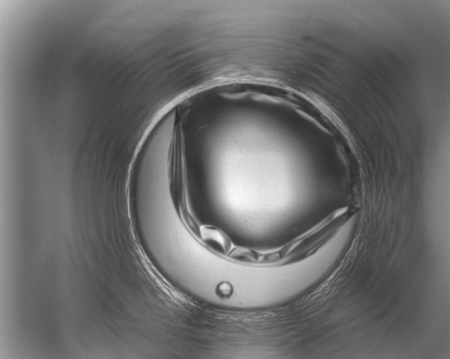 X0000057081246200510010151