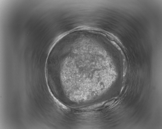 X0000057081247200510010151