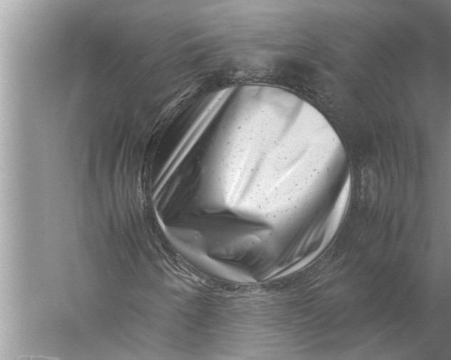 X0000057081250200510010150