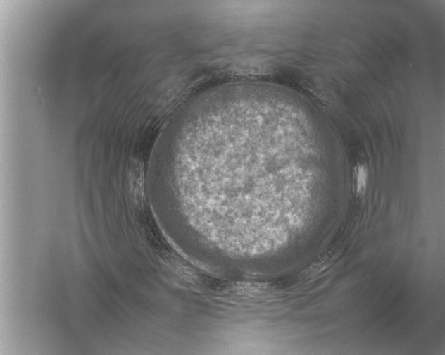 X0000057081251200510010150