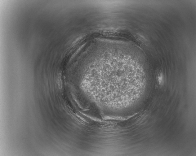 X0000057081252200510010150